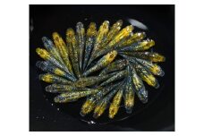 夜桜 ゴールド オス ・ メス ランダム 20 匹 めだか 飼育 初心者 おすすめ 水槽 インテリア 生物 生体 趣味 室内 メダカ 元気なメダカ 黄色の体 ラメ 青ラメ 白ラメ 健康 生魚 魚 めだか 生き物 いきもの 人気品種 厳選 鑑賞 鑑賞用 繁殖 綺麗 きれい 丈夫 育てやすい 美 国産 めだか メダカ プレゼント 贈答用 ギフト 品種 人気 送料無料 飼育初心者 静岡県 牧之原市 丸長