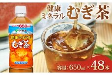 健康ミネラル むぎ茶 計48本 650mL × 24本 2ケース カフェインゼロ 防災備蓄 茶 ペットボトル 飲料 伊藤園 ノンカフェイン 麦茶 お茶 水分補給 備蓄 災害 熱中症 対策 保存 常備 非常用 家庭用 おすすめ おちゃ 飲み物 飲みもの おいしい 美味しい 飲料水 ドリンク 夏バテ予防 健康 日用品 保管 カフェインレス 防災 防災用品 生活必需品 消耗品 備蓄品 静岡県 牧之原市