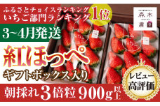 060-34 【3月～4月発送】超特大 紅ほっぺ 計900g 以上 森木農園 果物 いちご 苺 ブランド 甘い ジャム  スムージー ギフト おやつ ビタミン 美容 特産品 直送 新鮮 ブランド  静岡 【常温発送】