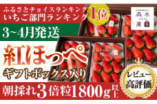 060-36 【3月～4月発送】超特大 紅ほっぺ 計1.8kg 以上 森木農園 果物 いちご 苺 ブランド 甘い ジャム  スムージー ギフト おやつ ビタミン 美容 特産品 直送 新鮮 ブランド  静岡 【常温発送】