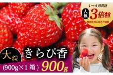 【1～4月発送】 きらぴ香 超大粒 900g いちご 冷蔵発送 きらぴか 苺 イチゴ 1箱 ゆりかーご 土耕栽培 フルーツ 果物 スイーツ デザート 朝摘み ストロベリー おやつ 完熟 直送 ギフト 家庭用 贈答用 贈答 ギフト 贈り物 甘い ブランド ジャム アレンジ 農家直送 ベリー 産地直送 国産 おすすめ 森木農園 静岡県 牧之原市 ~土耕栽培だから濃くて甘い!~