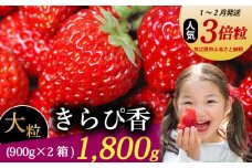 【1～2月発送】 きらぴ香 超大粒 1800g いちご 冷蔵発送 きらぴか 苺 イチゴ 2箱 ゆりかーご 土耕栽培 フルーツ 果物 スイーツ デザート 朝摘み ストロベリー おやつ 完熟 直送 ギフト 家庭用 贈答用 贈答 ギフト 贈り物 甘い ブランド ジャム アレンジ 農家直送 ベリー 産地直送 国産 おすすめ 森木農園 静岡県 牧之原市 ~土耕栽培だから濃くて甘い!~