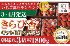 060-33 【3月～4月発送】通常3倍大粒! 超大粒 きらぴ香 計1.8kg 以上 森木農園 ブランド 果物 いちご 苺 フルーツ 果物 ストロベリー おやつ 直送 ギフト 甘い ブランド ジャム スムージー 健康 ビタミン 静岡【常温発送】