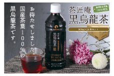静岡県産 黒烏龍茶 500ml × 24本 ペットボトル 黒ウーロン茶 国産 ポリフェノール配合 いなば園 ウーロン茶 烏龍茶 うーろんちゃ お茶 茶 ティー おちゃ tea ペットボトル飲料 箱 ケース 備蓄 脂肪 ポリフェノール 健康 ダイエット 食事のお供 常温 常温保存 国産烏龍茶 安心 安全 おすすめ 人気 牧之原茶 静岡茶 牧之原烏龍茶 静岡烏龍茶 牧之原市 静岡県