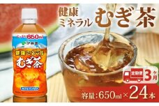 【定期便3か月】健康ミネラル むぎ茶 650mL × 24本 3回 お届け カフェインゼロ お茶 ペットボトル 飲料 ペットボトル飲料 おちゃ 麦茶飲料 飲み物 茶 アウトドア 日常 常備 備蓄 防災 防災備蓄 防災用品 災害 生活必需品 消耗品 非常用 災害対策 保存 ストック 日用品 水分補給 箱 箱買い まとめ買い おすすめ 静岡茶 飲料水 美味しい お～いお茶 伊藤園 牧之原市 静岡県