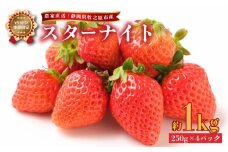 041-5 【2025年1月から順次発送】いちご スターナイト 1kg 250g × 4パック 産地直送 フルーツ 苺 果物 ストロベリー 静岡県 牧之原市産