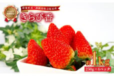 【 2025年1月から順次発送 】いちご きらぴ香 1kg 250g × 4パック 予約受付 期間限定 数量限定 苺 きらぴ香 イチゴ ストベリー フルーツ スイーツ デザート くだもの 果物 果汁ストロベリー 甘い おいしい 国産 安心 濃厚 新鮮 フレッシュ 贈答用 プレゼント お歳暮 産地直送 農家直送 静岡いちご 静岡苺 牧之原いちご牧之原苺 きらぴ香 静岡県 牧之原市 有限会社ヤマセン