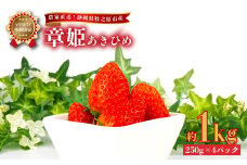 041-6 【2025年1月から順次発送】いちご あきひめ 章姫 1kg 250g × 4パック 産地直送 フルーツ 苺 果物 ストロベリー 静岡県 牧之原市産