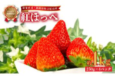 041-7 【2025年1月から順次発送】いちご 紅ほっぺ 1kg 250g × 4パック 産地直送 フルーツ 苺 果物 ストロベリー 静岡県 牧之原市産
