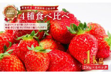 041-10 【2025年1月から順次発送】いちご 4種食べ比べ セット 1kg 250g × 4パック 産地直送 フルーツ 苺 果物 ストロベリー スターナイト 紅ほっぺ 章姫 きらぴ香 かおり野 静岡県 牧之原市産