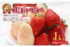 041-11 【2025年1月から順次発送】いちご 3種食べ比べ セット 1kg 250g × 4パック 産地直送 フルーツ 苺 果物 ストロベリー 天使の苺 スターナイト 紅ほっぺ 章姫 きらぴ香 かおり野 静岡県 牧之原市産