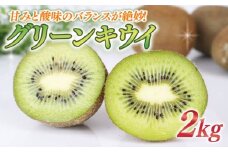 キウイ 2kg フルーツ 果物 スイーツ グリーン キウイ 王道 きうい ヘイワード 産地直送 くだもの デザート ギフト プレゼント 贈答 国産 落合農園 静岡県 牧之原市