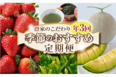 060-1000 【 定期便 3回 】 フルーツ 定期便 いちご メロン お茶 国産 イチゴ 果物 苺 ギフト 完熟 贈答 産地直送 くだもの スイーツ デザート 森木農園 静岡県 牧之原市