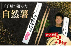 074-9　【R7年12月上旬からの発送】　丁子屋が選んだ 自然薯 台地のご馳走 3kg 新鮮 健康 長寿 とろろ 静岡県 牧之原市 ヤマゴ増田製茶