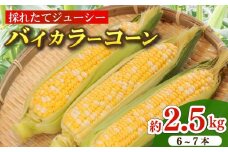とうもろこし バイカラーコーン 6～7本 約2.5㎏ 糖度 17～20度 コーン 朝採り もぎたて 甘い トウモロコシ もろこし とうきび 美味しい 野菜 バーベキュー お取寄せ お取寄せグルメ 産地直送 農家直送 新鮮 生鮮 食品 国産 夏野菜 旬 贈答 プレゼント ギフト お中元 牧之原とうもろこし 牧之原トウモロコシ 静岡とうもろこし 静岡トウモロコシ 山本耕業 こめ香 静岡県 牧之原市