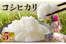 【2025年11月発送】米 コシヒカリ 5 kg  お米 白米 一等米 白米 精米 ご飯 白 ごはん おいしい 国産 静岡県 牧之原市 日用品 日常 便利 