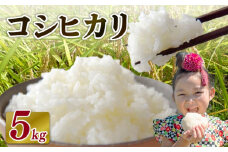 【2026年2月発送】米 コシヒカリ 5 kg  お米 白米 一等米 白米 精米 ご飯 白 ごはん おいしい 国産 静岡県 牧之原市 日用品 日常 便利 