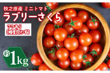 訳あり ミニ トマト フルーツ トマト ラブリーさくら うまたま 予約 受付 計 1kg 国産 野菜 フルーツ 甘い 別送 静岡県 牧之原市 山本農園