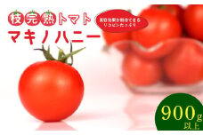 トマト 中玉 900g 以上 マキノハニー 枝完熟 トマト トマトップ 高 リコピン うまみ 甘い 新鮮 野菜 産地直送 やさい ビタミン 静岡県 牧之原市
