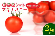 トマト 中玉 2kg 以上 マキノハニー 枝完熟 トマト トマトップ 高 リコピン うまみ 甘い 新鮮 野菜 産地直送 やさい ビタミン 静岡県 牧之原市