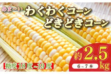 とうもろこし わくわくコーン どきどきコーン 6 ～ 7 本 約 2.5kg 糖度18 ~ 19度 甘い 美味しい おいしい 野菜 バーベキュー BBQ 産地直送 新鮮 生鮮 食品 静岡県 牧之原市 もろこしショップ ぐりぱ