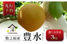 梨 豊水 3kg 数量限定 令和7年度産 先行予約 8月中旬より順次発送  選べる 容量 期間限定 フルーツ なし ほうすい 果物 デザート 梨 夏 豊水梨 果物梨 和梨 旬 旬の果物 季節の果物 お中元 贈答用 プレゼント ギフト 父の日 箱入り おいしい 人気 国産 産地直送 農家直送 牧之原梨 静岡梨 おすすめ 美味しい 新鮮 お取寄せ 山清 yamasei  静岡県 牧之原市