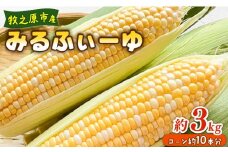 とうもろこし ミルフィーユ 10本 約3㎏ 糖度 コーン 甘い 美味しい 野菜 バーベキュー 産地直送 バイカラー 新鮮 生鮮 食品 大石農園 おいし~農園 静岡県 牧之原市