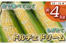 とうもろこし もぎたて ドルチェドリーム 約 4kg 12本~14本 トウモロコシ コーン 美味しい おいしい 茹でとうもろこし 焼きとうもろこし スープ 野菜 やさい バーベキュー BBQ 産地直送 新鮮 生鮮 食品 静岡県 牧之原市 タイラファーム