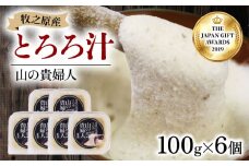 冷凍 自然薯 100％ とろろ汁 山の貴婦人 100g × 6 パック セット とろろ 山芋 ヤマイモ 山いも じねんじょ 滋養強壮 お取り寄せ ギフト グルメ 贈答 人気 静岡県 牧之原市 尾白弁当