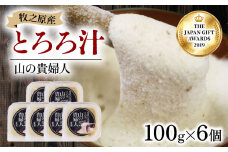 【ZIPで紹介されました!】 冷凍 自然薯 100％ とろろ汁 山の貴婦人 100g × 6 パック セット とろろ 山芋 ヤマイモ 山いも じねんじょ 滋養強壮 お取り寄せ ギフト グルメ 贈答 人気 静岡県 牧之原市 尾白弁当