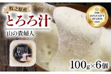 【ZIP!の「水卜あさみと一緒に朝ごはん」で紹介されました!】 冷凍 自然薯 とろろ汁 山の貴婦人 100g × 6個 セット パック とろろ 山芋 ヤマイモ 山いも じねんじょ 食欲増進 食品 ご飯お供 健康 栄養 夏バテ 個包装 小分け お取り寄せ ギフト グルメ 贈答 プレゼント 人気 国産 安心 静岡自然薯 ごはん お米 送料無料 牧之原自然薯 自然薯 とろろ  静岡県 牧之原市 尾白弁当