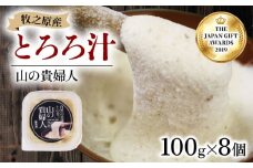 【ZIP!の「水卜あさみと一緒に朝ごはん」で紹介されました!】 冷凍 自然薯 100％ とろろ汁 山の貴婦人 100g × 8 パック セット とろろ 山芋 ヤマイモ 山いも じねんじょ 滋養強壮 お取り寄せ ギフト グルメ 贈答 人気 静岡県 牧之原市 尾白弁当