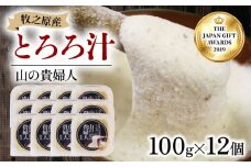 冷凍 自然薯 100％ とろろ汁 山の貴婦人 100g × 12 パック セット とろろ 山芋 ヤマイモ 山いも じねんじょ 滋養強壮 お取り寄せ ギフト グルメ 贈答 人気 静岡県 牧之原市 尾白弁当