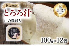 【ZIP!の「水卜あさみと一緒に朝ごはん」で紹介されました!】 冷凍 自然薯 100％ とろろ汁 山の貴婦人 100g × 12 パック セット とろろ 山芋 ヤマイモ 山いも じねんじょ 滋養強壮 お取り寄せ ギフト グルメ 贈答 人気 静岡県 牧之原市 尾白弁当