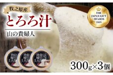 冷凍 自然薯 100％ とろろ汁 山の貴婦人 300g × 3 パック セット とろろ 山芋 ヤマイモ 山いも じねんじょ 滋養強壮 お取り寄せ ギフト グルメ 贈答 人気 静岡県 牧之原市 尾白弁当
