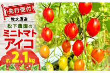 【先行予約】 松下農園 の ミニトマトアイコ 2.1kg 2026年 1月中旬 から 発送予定 ミニトマト アイコ とまと トマト みにとまとあいこ 甘み 夏 新鮮 野菜 完熟 サラダ パスタ トマトソース トマトスープ トマトジュース おやつ 健康 贈答 プレゼント お歳暮 国産 安心 農家直送 産地直送 静岡トマト 静岡とまと 静岡ミニトマト 静岡みにとまと 松下農園 牧之原市 静岡県