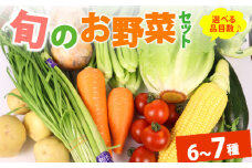 野菜 セット 6~7品目 以上 お野菜 季節 野菜 旬 新鮮 産地直送 詰め合わせ やさい おいしい 自然 セット 美味しい たっぷり 旬の野菜 セット 詰め合わせ7種類  国産 新鮮 お試し おまかせ お楽しみ 牧之原産 サラダ 野菜 朝採れ 季節の野菜 食品 冷蔵 お取り寄せ きせつ 農家 のうか  旬 春 夏 秋 冬 とれたて 季節もの とれたて セット丸新柴本製茶 静岡 県 牧之原市