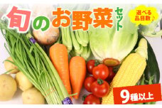 野菜 セット 9品目 以上 お野菜 季節 野菜 旬 新鮮 産地直送 詰め合わせ やさい おいしい 自然 セット 美味しい たっぷり 丸新柴本製茶 静岡県 牧之原市
