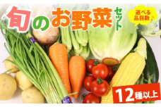 野菜 セット 12品目 以上 お野菜 季節 野菜 旬 新鮮 産地直送 詰め合わせ やさい おいしい 自然 セット 美味しい たっぷり 丸新柴本製茶 静岡県 牧之原市
