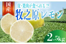 【事前受付】レモン 2.5kg れもん 檸檬 Lemon 柑橘類 柑橘 フルーツ 果物 酸っぱい 果肉 酸味 甘み 璃の香 防腐剤不使用 牧之原レモン 静岡県 牧之原市 果肉食べられる 自宅用 贈答品 レモンスカッシュ レモンパウンドケーキ レモンサワー