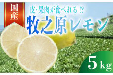 【事前受付】レモン 5kg れもん 檸檬 Lemon 柑橘類 柑橘 フルーツ 果物 酸っぱい 果肉 酸味 甘み 璃の香 防腐剤不使用 牧之原レモン 静岡県 牧之原市