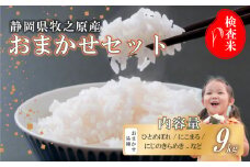 【事前受付】令和7年度産 新米 米 9kg  おまかせ 品種 ひとめぼれ にこまる にじのきらめき 精米 白米 国産 おいしい お米 こめ 静岡県 牧之原市  日用品 日常  9月~10月発送 ご飯 ごはん ふっくら もちもち 炭水化物  主食 家庭用 贈答 訳あり