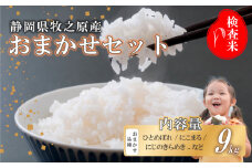 【事前受付】令和7年度産 新米 米 9kg  おまかせ 品種 ひとめぼれ にこまる にじのきらめき 精米 白米 国産 おいしい お米 こめ  日用品 日常  9月~10月発送 ご飯 ごはん ふっくら もちもち 炭水化物  主食 家庭用 贈答 訳あり オススメ おすすめ 人気 農家直送 産地直送 おこめ 静岡県産 自宅用 贈り物 令和7年産  おにぎり 静岡 牧之原 先行予約 タタラさん商店