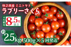 ミニ トマト フルーツ トマト ラブリーさくら うまたま 予約 受付 500g × 5回 発送 計 2.5kg 国産 野菜 フルーツ 甘い 静岡県 牧之原市 山本農園