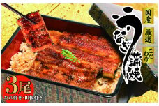 国産 うなぎ 3尾 土用 丑の日 指定日 可 蒲焼 タレ 付き 山椒 付き ウナギ 鰻 蒲焼き 自家製 たれ うな雄の鰻蒲焼 静岡県 牧之原市