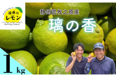 事前受付 牧之原産 波乗りレモン 璃の香 1kg 国産 Lemon 檸檬 柑橘類 柑橘 フルーツ 果物 酸っぱい 果肉 酸味 防腐剤不使用 静岡県 牧之原市 