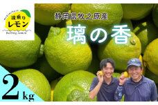 事前受付 牧之原産 波乗りレモン 璃の香 2kg 国産 Lemon 檸檬 柑橘類 柑橘 フルーツ 果物 酸っぱい 果肉 酸味 防腐剤不使用 静岡県 牧之原市 防カビ剤･ワックス不使用 