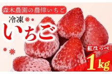 冷凍 いちご 苺 1kg 完熟 紅ほっぺ ヘタ取り いちご 静岡 限定 苺 冷凍いちご 果物 スイーツ いちご 紅ほっぺ 牧之原市 デザート フルーツ スイーツ アイス ジャム シャーベット ベリー 氷菓 冷凍 甘い オススメ ギフト 人気 紅ほっぺ 牧之原市 森木農園