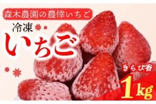 冷凍 いちご 苺 1kg以上 完熟 きらぴ香  ヘタ取り いちご 静岡 限定 苺 冷凍いちご きらぴ香 果物 スイーツ いちご 牧之原市 デザート フルーツ スイーツ アイス ジャム シャーベット ベリー 氷菓 冷凍 甘い オススメ ギフト 人気 牧之原市 森木農園