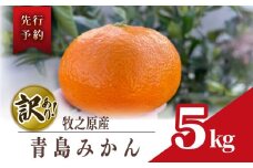 訳あり みかん 青島 みかん 約 5kg 先行予約 2025年 12月 下旬 から 発送 期間限定 青島みかん あおしまみかん アオシマ ミカン 蜜柑 mikan 柑橘 果物 フルーツ ふるーつ 濃厚 甘い 甘み おやつ 数量限定 果汁 果実 農家直送 産地直送 ギフト プレゼント 贈答 お中元 お歳暮 美味しい 新鮮 国産 安心 静岡みかん 静岡蜜柑 わけあり minorien 牧之原市 静岡県